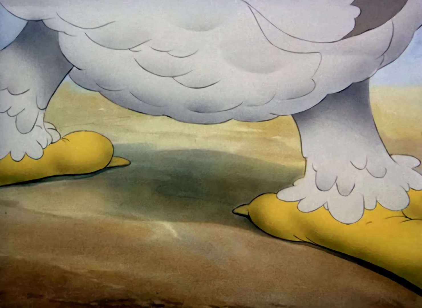 Fine Feathered Friend