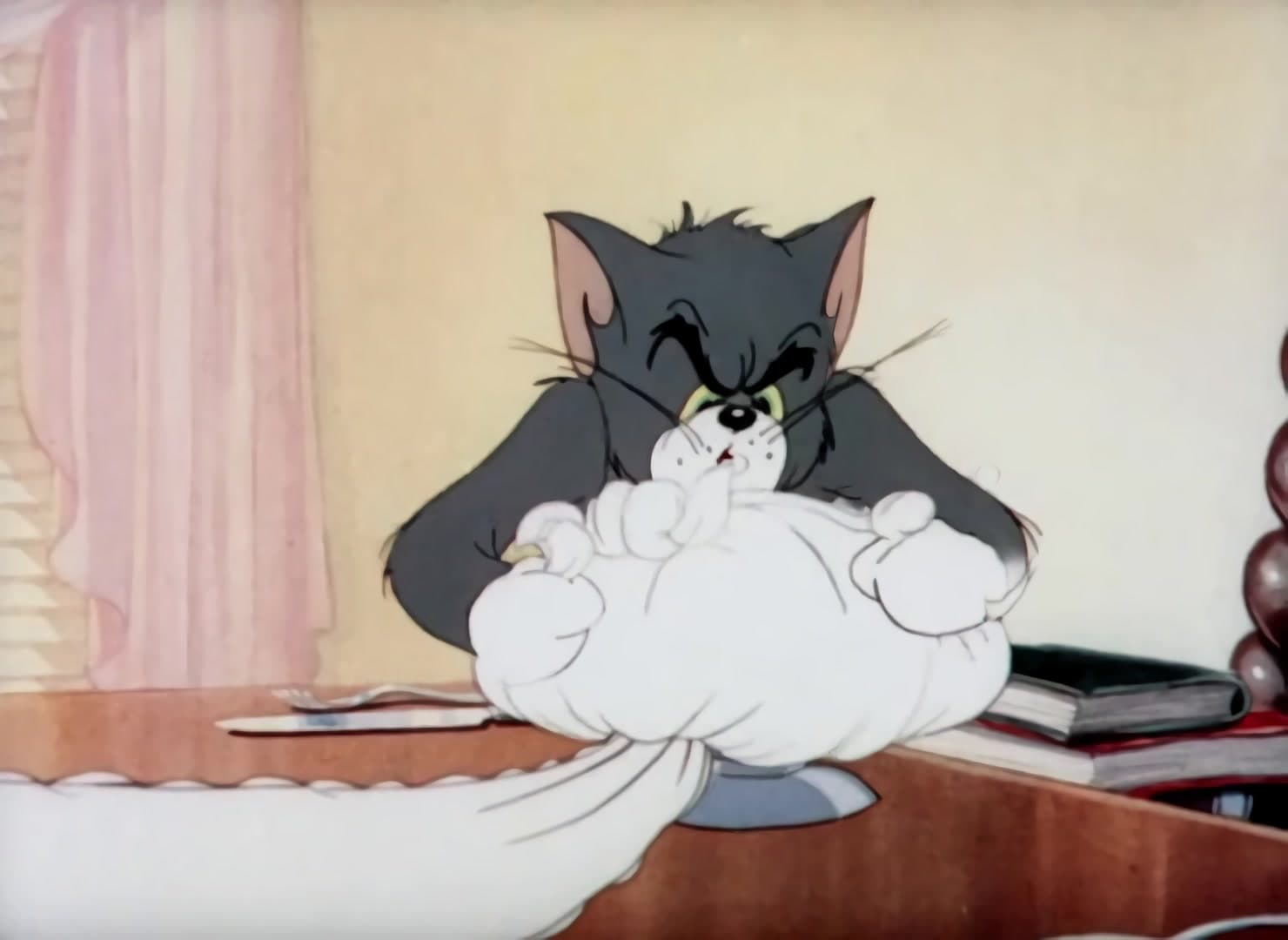 The Million Dollar Cat