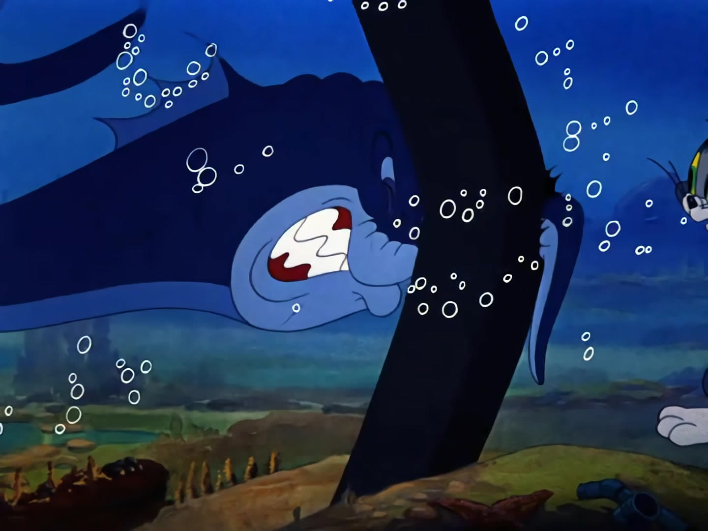 The Cat and the Mermouse