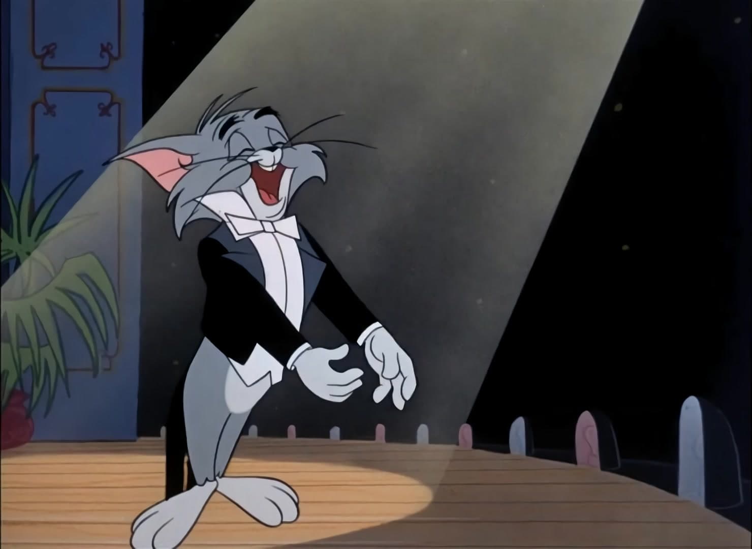 The Cat Above and the Mouse Below