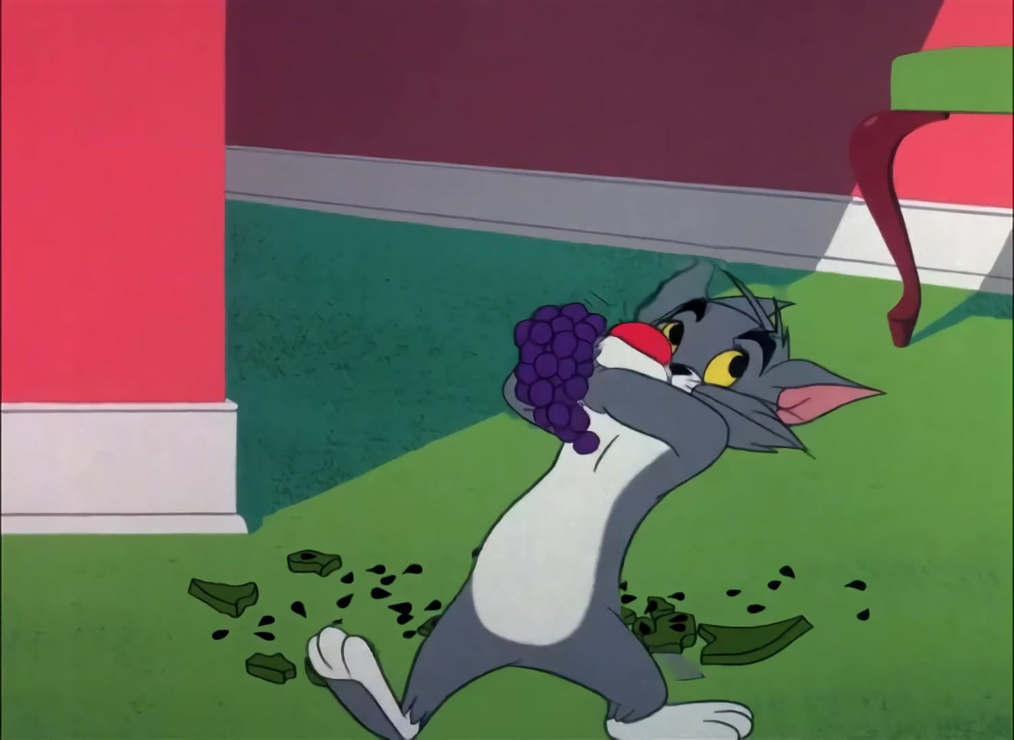 Is There a Doctor in the Mouse?