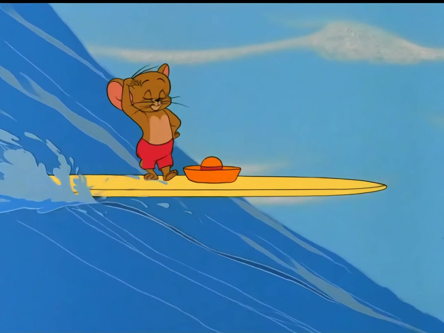 Surf-Bored Cat