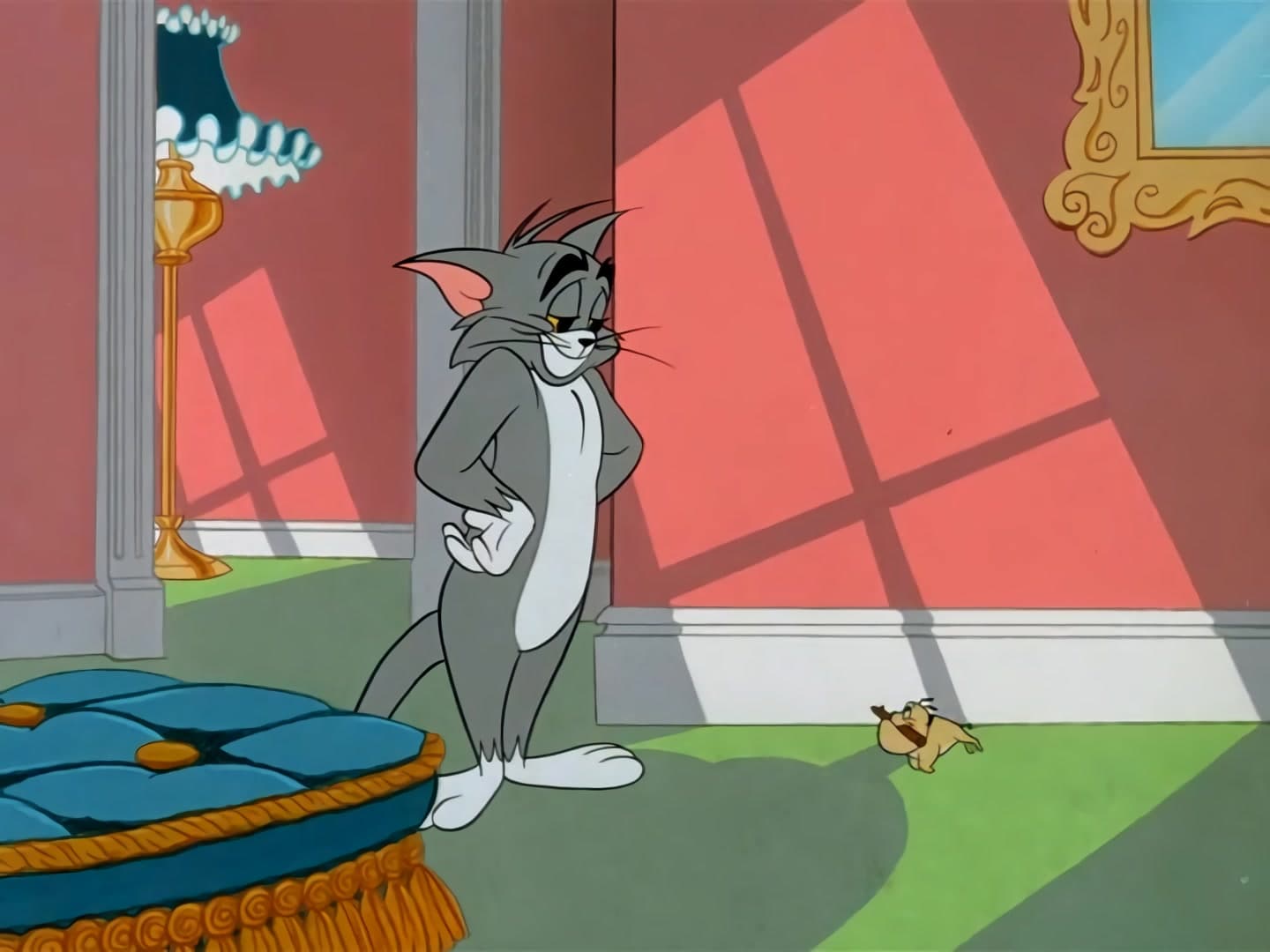 Purr-Chance to Dream